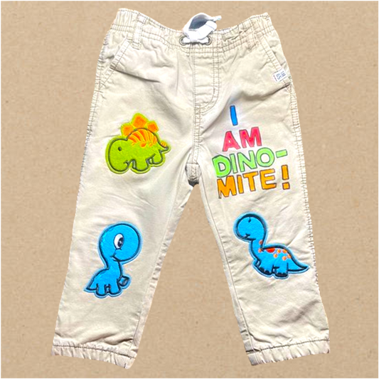 Repurposed Hand Painted I AM DINO-MITE KHAKIS